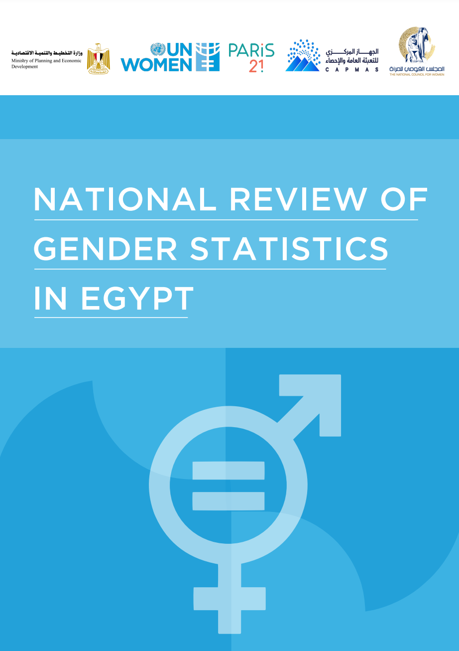 National review of gender statistics in Egypt